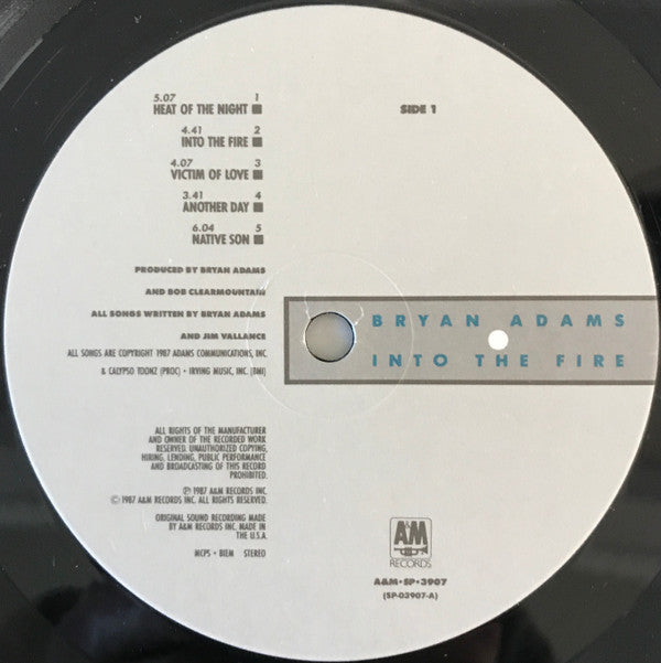 Bryan Adams : Into The Fire (LP,Album)