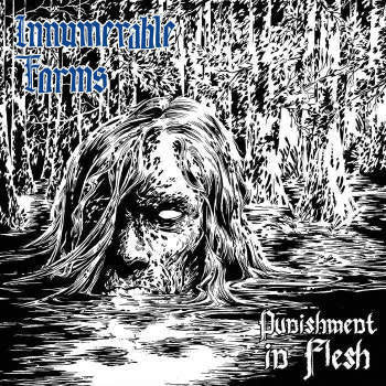 Innumerable Forms : Punishment in Flesh (Album)