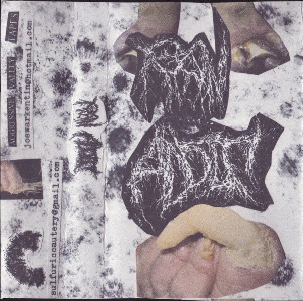 Raw Addict : Demo II ()