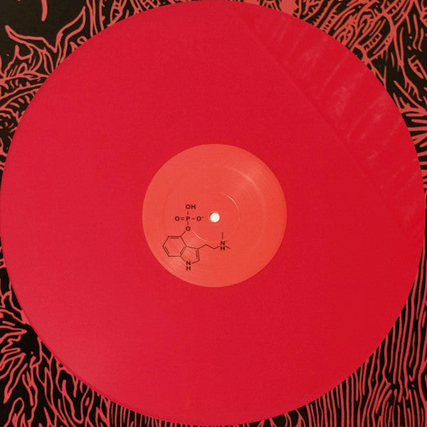 Skáphe : Untitled (LP,Single Sided,EP,Reissue)