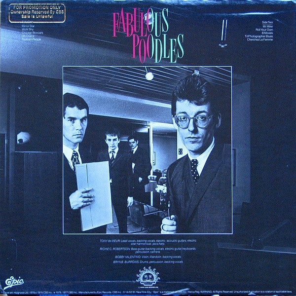 Fabulous Poodles : Mirror Stars (LP,Compilation)