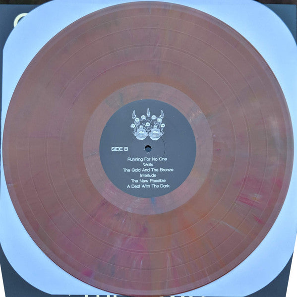 Chrome Lakes : The Cost (LP)