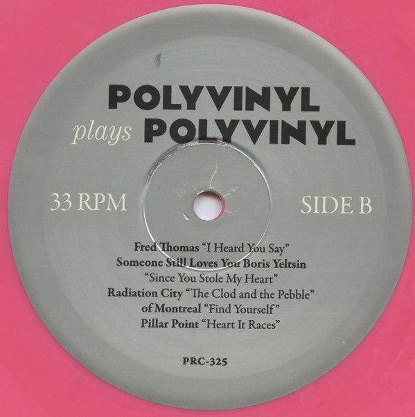 Various : Polyvinyl Plays Polyvinyl (LP,Compilation)