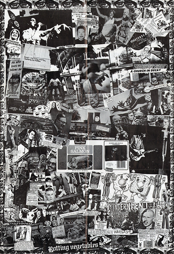 Dead Kennedys : Fresh Fruit For Rotting Vegetables (LP,Album)