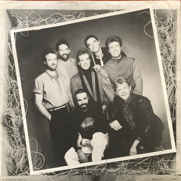 Chicago (2) : Chicago 17 (LP,Album)
