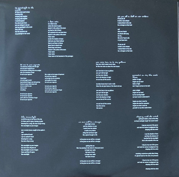 Dax Riggs : Say Goodnight To The World (LP,Album)