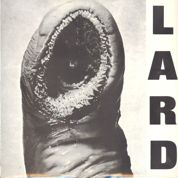 Lard : Power Of Lard EP (12",EP,33 ⅓ RPM)