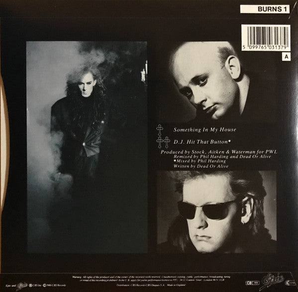 Dead Or Alive : Something In My House (7",45 RPM,Single,Stereo)
