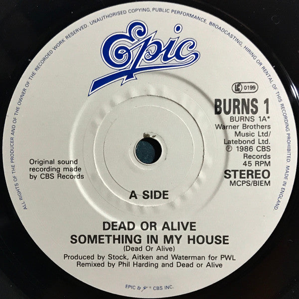 Dead Or Alive : Something In My House (7",45 RPM,Single,Stereo)