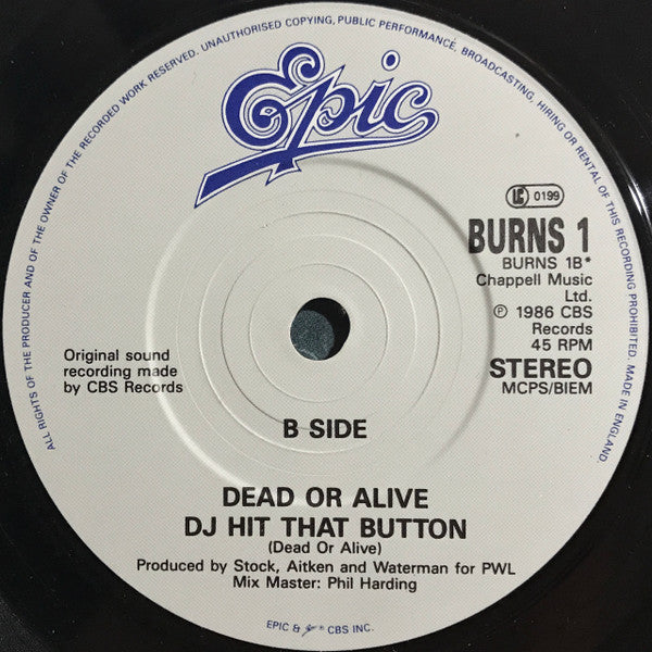 Dead Or Alive : Something In My House (7",45 RPM,Single,Stereo)