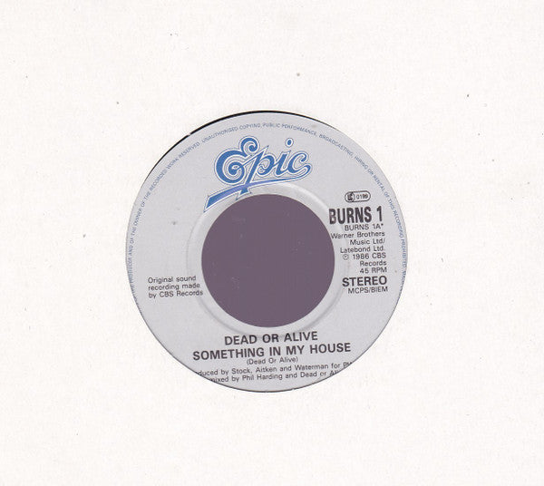 Dead Or Alive : Something In My House (7",45 RPM,Single,Stereo)