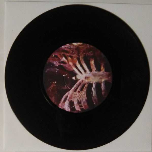 Goddefied : Remnants Of The Art (7",45 RPM)