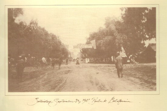 Gordon Lightfoot : Cold On The Shoulder (LP,Album)