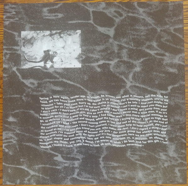 Nirvana : Nevermind (LP,Album,Reissue)