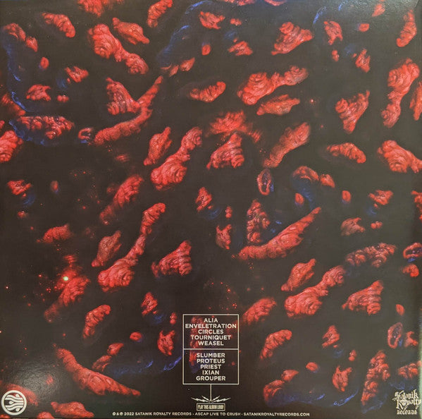 Sandrider : Enveletration (LP,Album,Limited Edition)