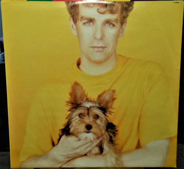 Pet Shop Boys : Introspective (LP,Album)