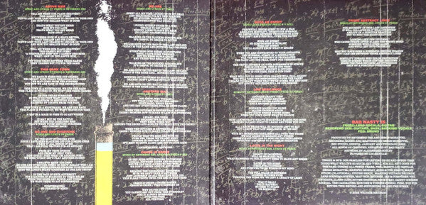Bad Nasty : Chaos Is Order (LP,45 RPM)