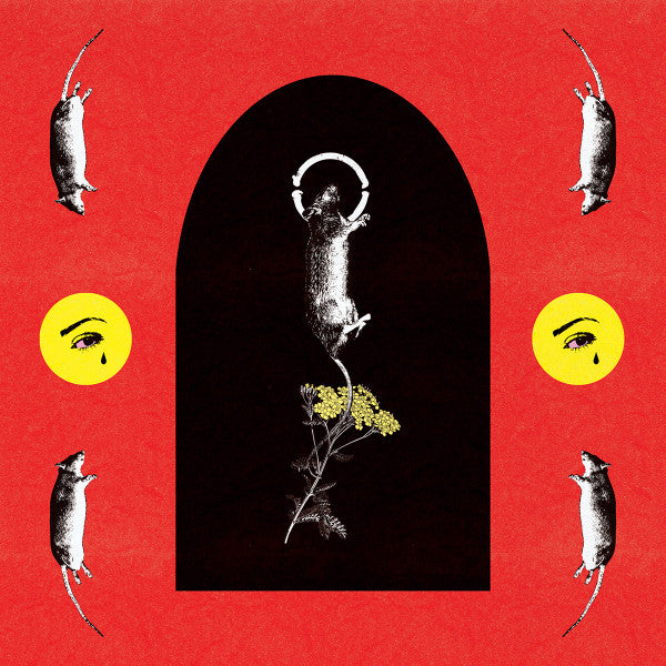 DRYBNZ : DRYBNZ (LP,Album)