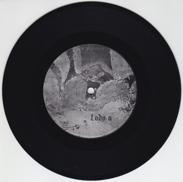 Ilegal : La Vida Es El Producto De Nuestra Esperanza Y Las Visiónes Irreales (7",33 ⅓ RPM,EP)