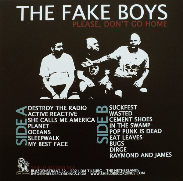 Fake Boys, The : Please Don't Go Home (LP,Compilation)