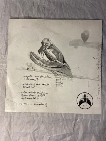 AFI : Sing The Sorrow (12",45 RPM,Album,Limited Edition,Reissue,Stereo)