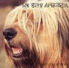 Various : We Bite America - The Collection (LP,Compilation)