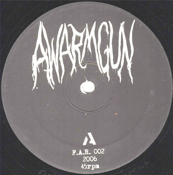 A Warm Gun : Panic In The Face Of Time (LP,45 RPM)