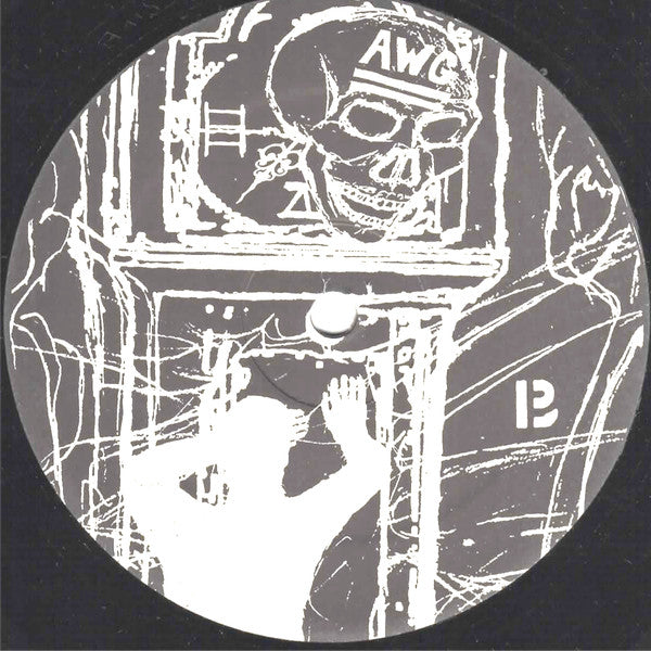 A Warm Gun : Panic In The Face Of Time (LP,45 RPM)