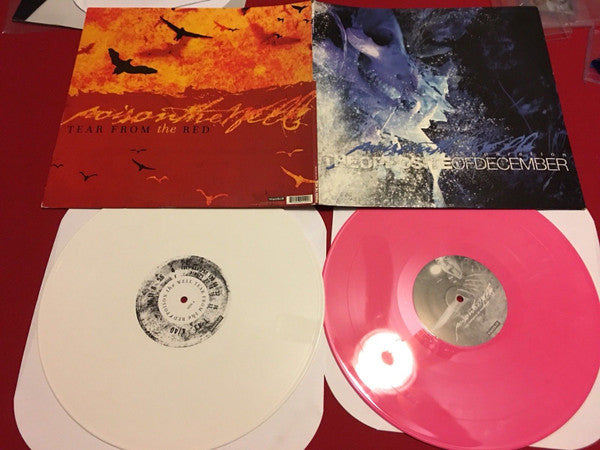 Poison The Well : The Opposite Of December I Tear From The Red (LP)