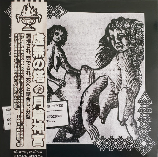 Hollows Tower / Moonshrine : Cooked, Boiled & Conjoined Into Death ...Split... (LP,Reissue)