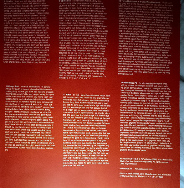 Death Grips : Bottomless Pit (LP,Album,Reissue)