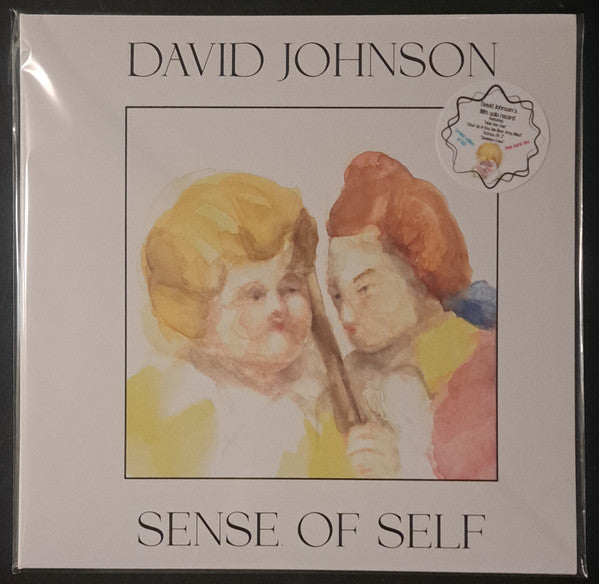 David Johnson 1234 : Sense Of Self (LP)