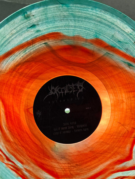 Occulsed : Antegnosis (LP,Album)