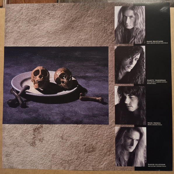Megadeth : Countdown to extinction (LP,Remastered,Stereo)
