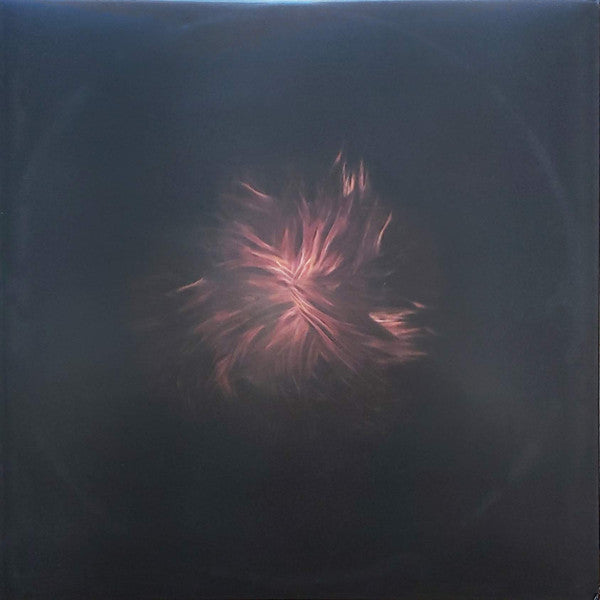 Swans : The Seer (LP,Album)