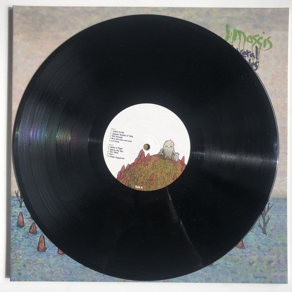 J Mascis : Several Shades Of Why (LP,Album)