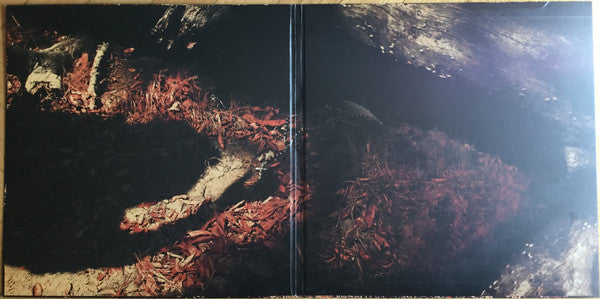 Bl'ast : Blood! (LP,Album)