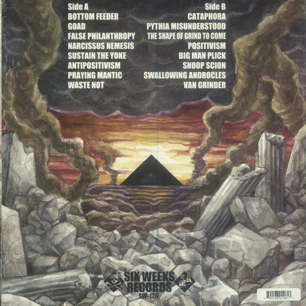 Transient (8) : Transient (12",45 RPM)