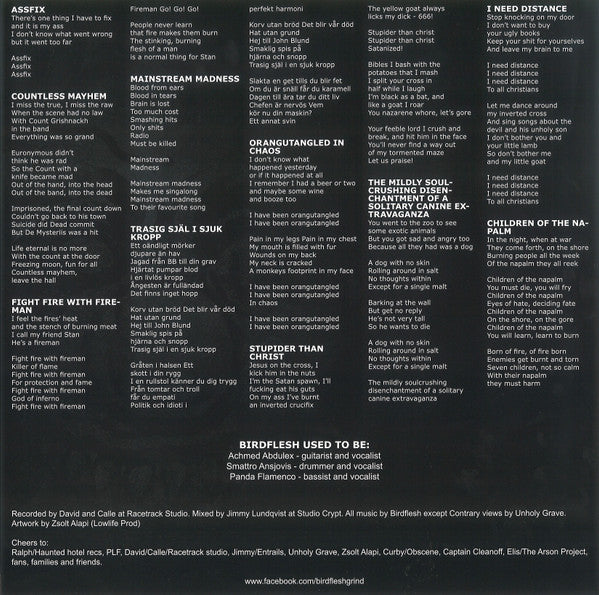 Birdflesh / Pretty Little Flower : Split (LP)