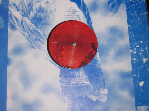 patten (2) : ESTOILE NAIANT (LP,Album)