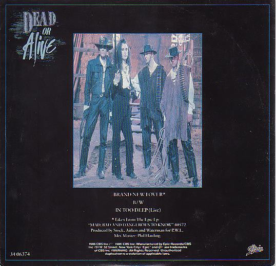 Dead Or Alive : Brand New Lover (7",45 RPM,Single)