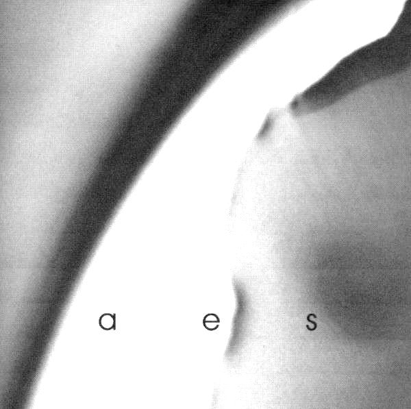 Skepticism : Aes (EP,Reissue)