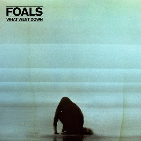 Foals : What Went Down (LP,Album,Stereo)