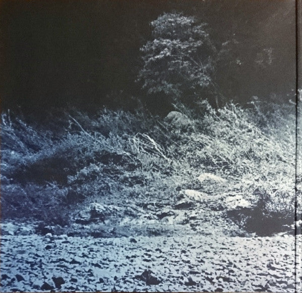 Foals : What Went Down (LP,Album,Stereo)