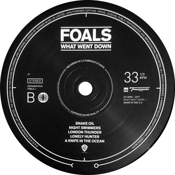 Foals : What Went Down (LP,Album,Stereo)
