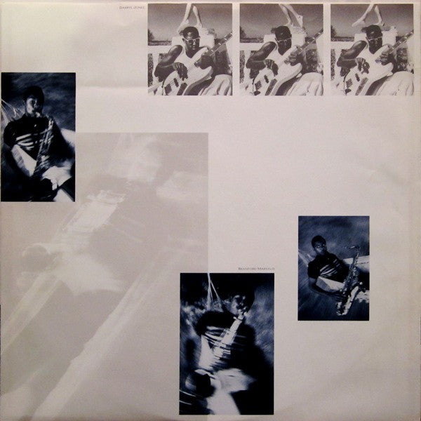 Sting : The Dream Of The Blue Turtles (LP,Album,Stereo)