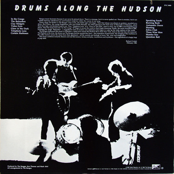 Bongos, The : Drums Along The Hudson (LP,Album)
