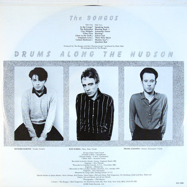 Bongos, The : Drums Along The Hudson (LP,Album)