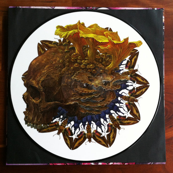 Baroness : Shock Me (12",33 ⅓ RPM,Single,Limited Edition,Picture Disc)