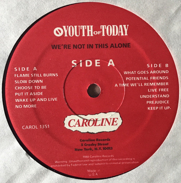 Youth Of Today : We're Not In This Alone (LP,Album)